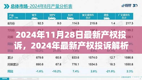 最新产权投诉解析与应对策略（2024年11月版）