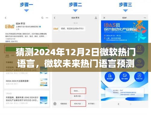 微软未来热门语言预测，分析趋势与观点，展望2024年12月2日的语言格局