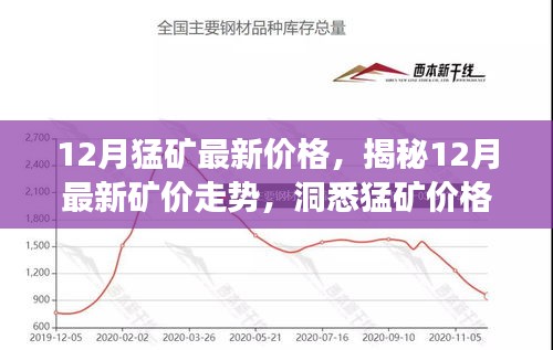 揭秘，12月猛矿最新价格走势及影响因素分析